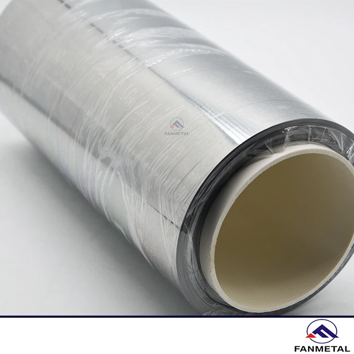 Molybdenum Foil
